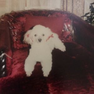 Meet your Posher, Denisha